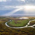 Васюганские болота глазами томского фотографа: томич «удивил» Россию